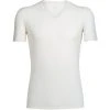 Icebreaker Men's Anatomica Short Sleeve V Neck T-Shirt 1 Icebreaker Men's Anatomica Short Sleeve V Neck T-Shirt