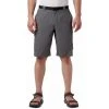 Columbia Men's Silver Ridge Cargo Short