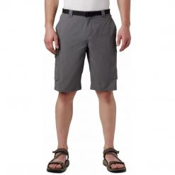 Columbia Men's Silver Ridge Cargo Short