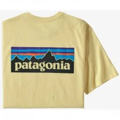 Patagonia Men's P-6 Logo Pocket Responsibili-Tee