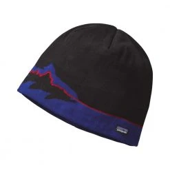 Patagonia Beanie Hat