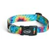 Chaco Dog Collar 1 Chaco Dog Collar