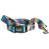 Chaco Dog Leash