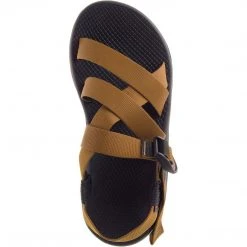 Chaco Men's Banded Z Cloud