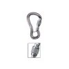 Black Diamond Climb GridLock Screwgate Carabiner