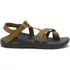 Chaco Men's Z/Cloud 2