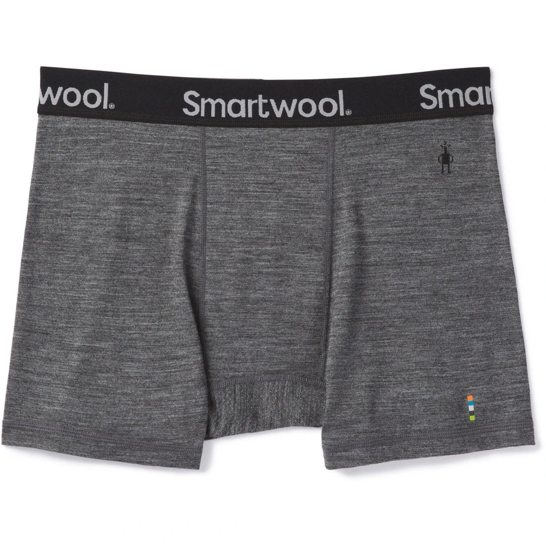 Smartwool Men's Merino Sport 150 Boxer Brief 4 Smartwool Men's Merino Sport 150 Boxer Brief