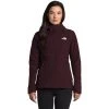 The North Face Women's Shelbe Raschel Hoodie