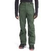 The North Face Men's Freedom Pant