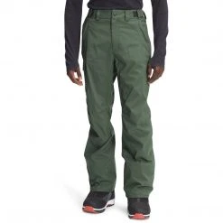 The North Face Men's Freedom Pant