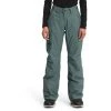 The North Face Women's Freedom Insulated Pant 1 The North Face Women's Freedom Insulated Pant