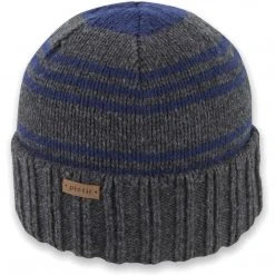 Pistil Men's Perch Beanie