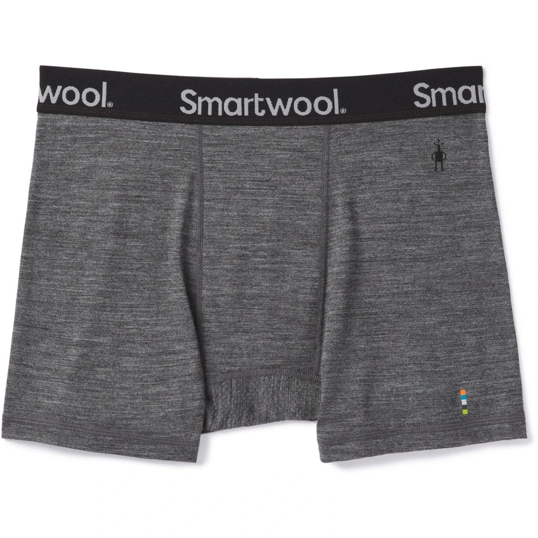 Smartwool Men's Merino Sport 150 Boxer Brief 5 Smartwool Men's Merino Sport 150 Boxer Brief