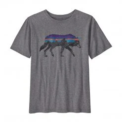 Patagonia Boys' Regenerative Organic Certification Cotton Graphic T-Shirt Kids